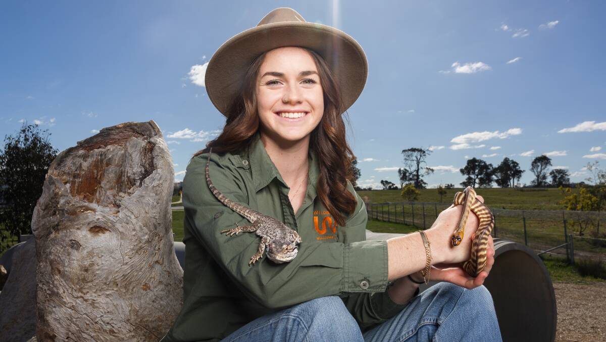Keely Small with a Woma python and an Eastern bearded dragon at Wildbark. Picture by Sitthixay Ditthavong