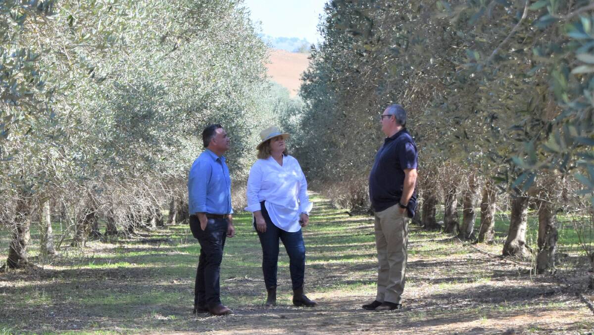 The Deputy Premier and Goulburn MP with Charlie de Nanteuil of La Barres Olives. Photo: Neha Attre 