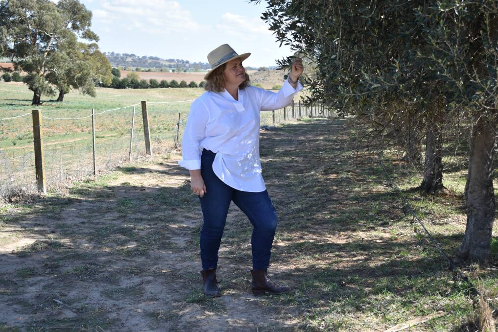 Member for Goulburn Wendy Tuckerman at the olive orchard in Yass. Photo: Neha Attre 